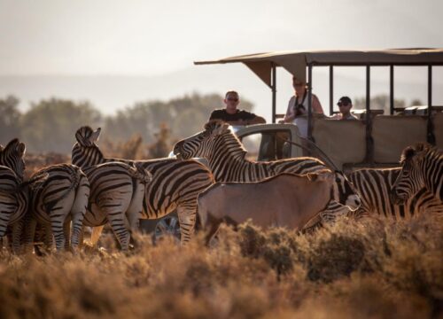 7 Days Arusha   Eco-Cultural Safari + Logistics Support