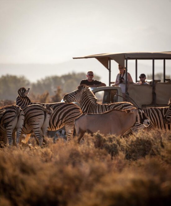 7 Days Arusha   Eco-Cultural Safari + Logistics Support