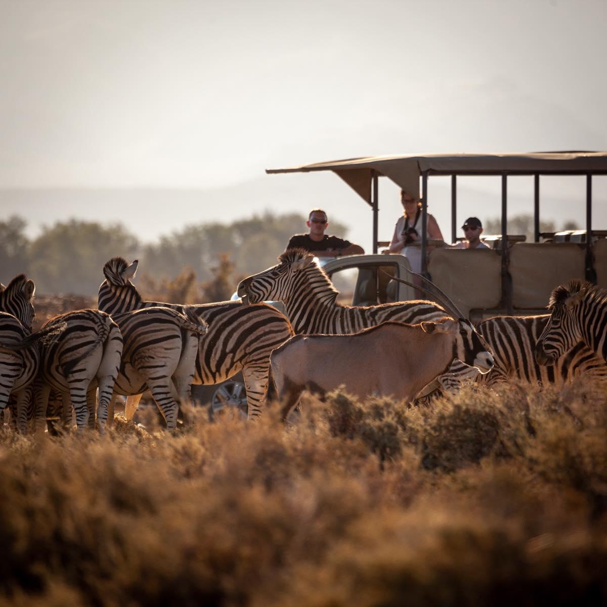 7 Days Arusha   Eco-Cultural Safari + Logistics Support