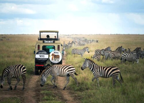 5 Reasons to Choose an Eco-Cultural Safari in Tanzania
