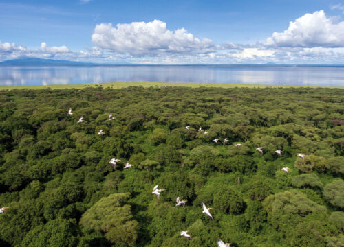 The True Meaning of “Beyond Tourism” in Tanzania