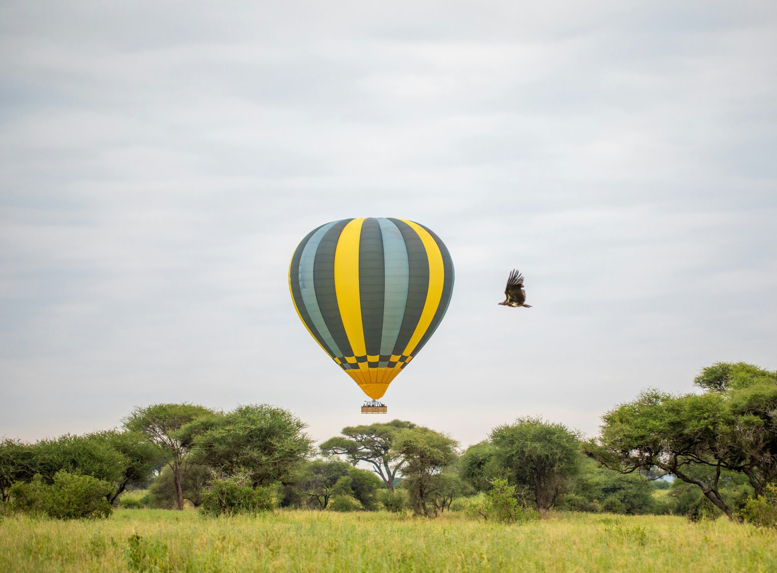 Tarangire National Park